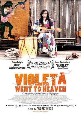 比奥莱塔去往天堂 Violeta se fue a los cielos