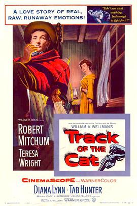 雪山恨 Track of the Cat