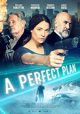 完美计划 A Perfect Plan