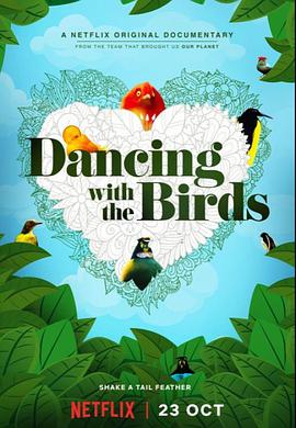 与鸟共舞 Dancing with the Birds