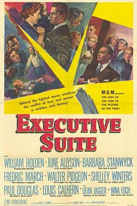 纵横天下 Executive Suite