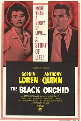黑兰花 The Black Orchid