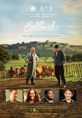 钟鸣鸟 Bellbird