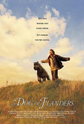 义犬报恩 A Dog of Flanders
