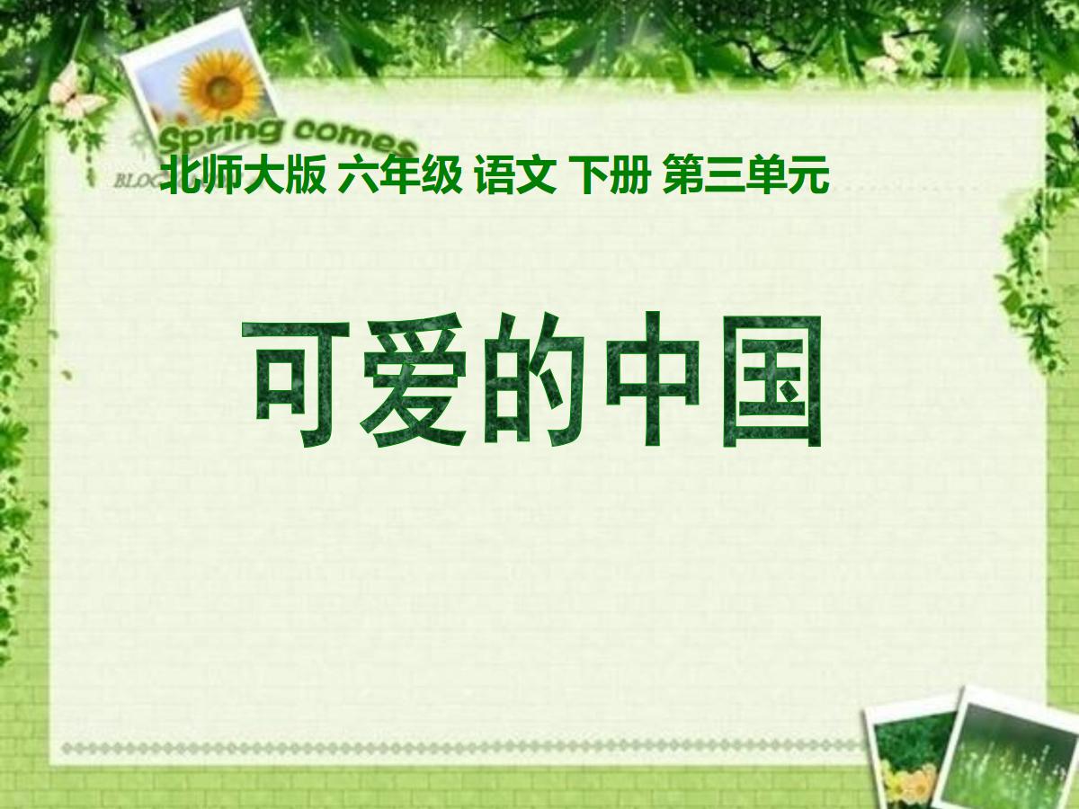 《可爱的中国》PPT课件2