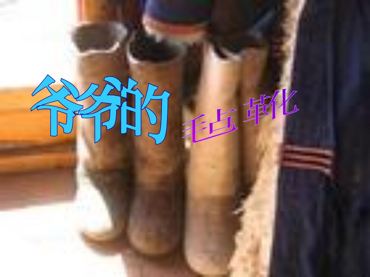 《爷爷的毡靴》PPT课件