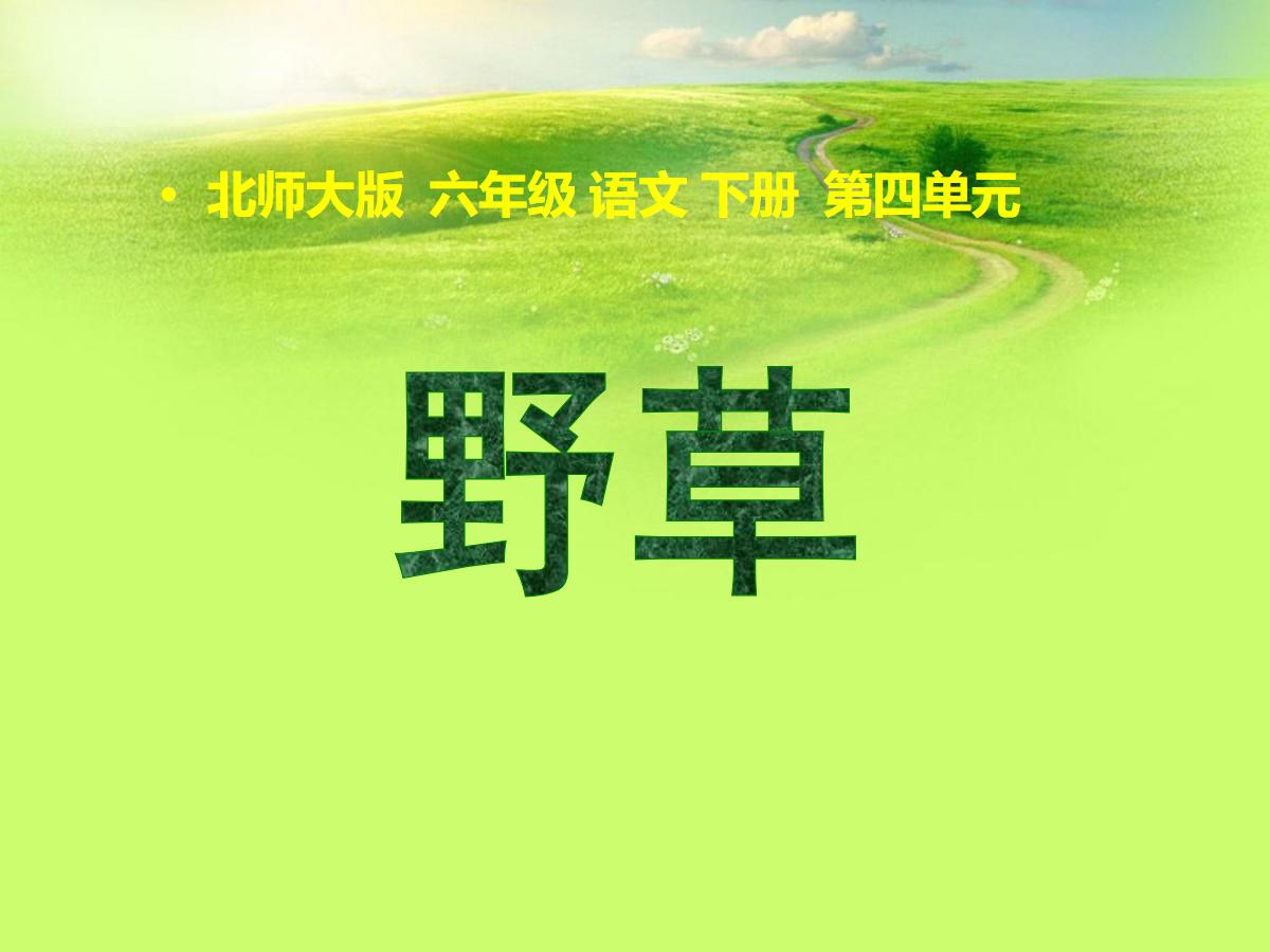 《野草》PPT课件2