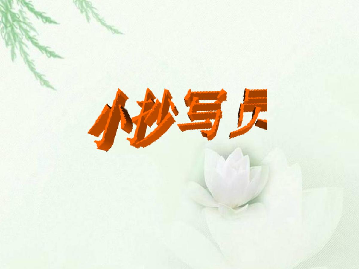 《小抄写员》PPT课件