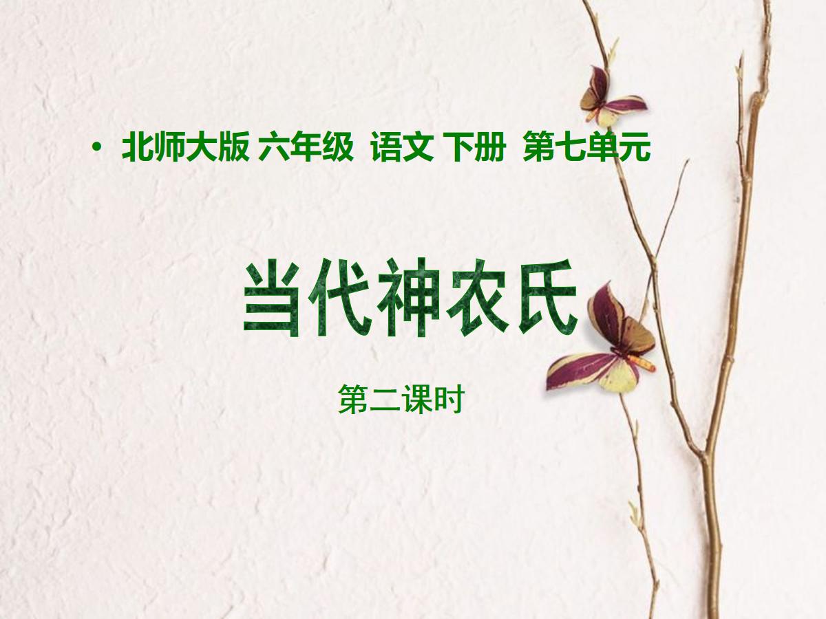 《当代神农氏》PPT课件2