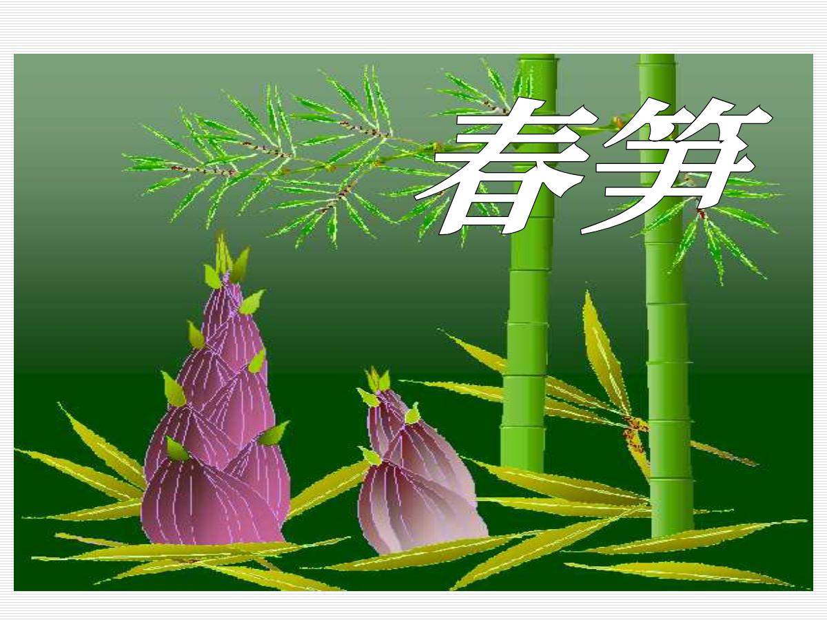 《春笋》PPT课件2