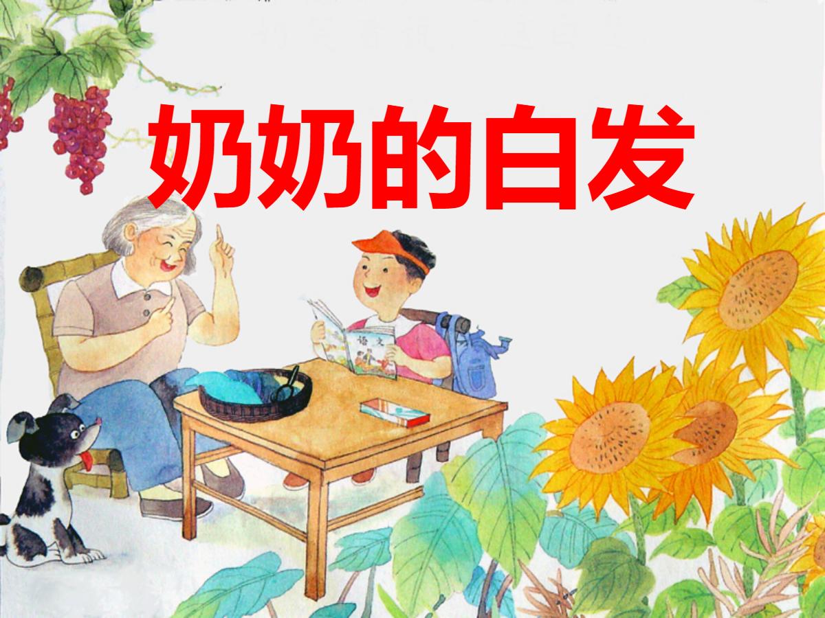 《奶奶的白发》PPT课件