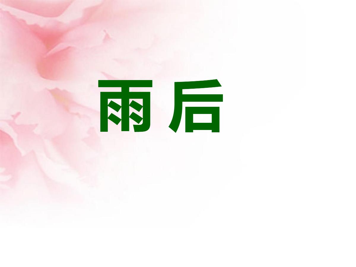 《雨后》PPT课件7