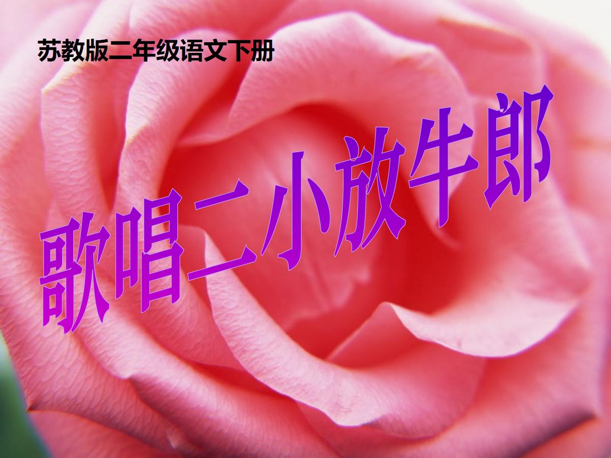 《歌唱二小放牛郎》PPT课件2