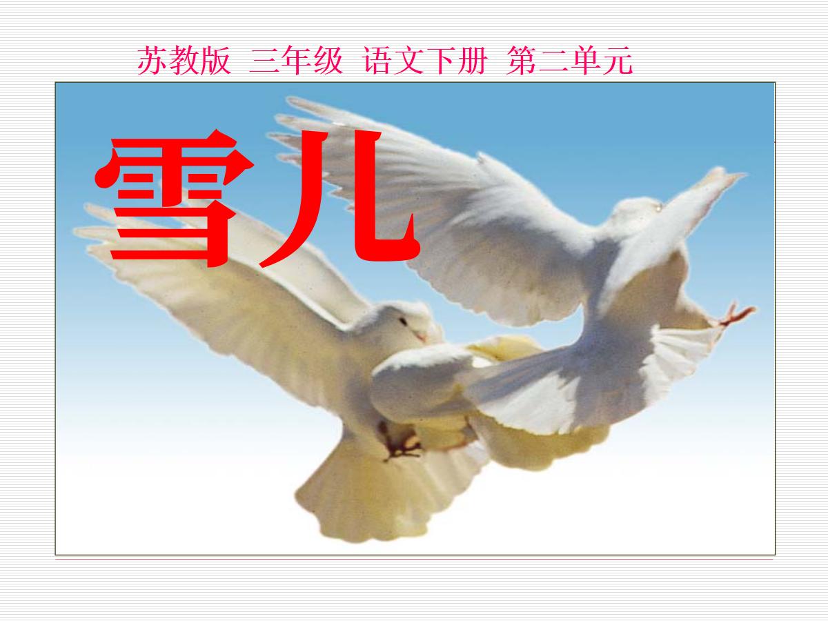 《雪儿》PPT课件4