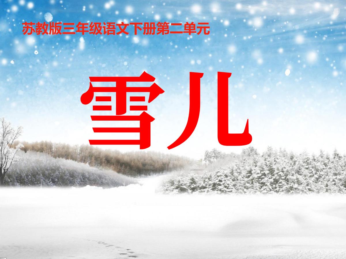 《雪儿》PPT课件5