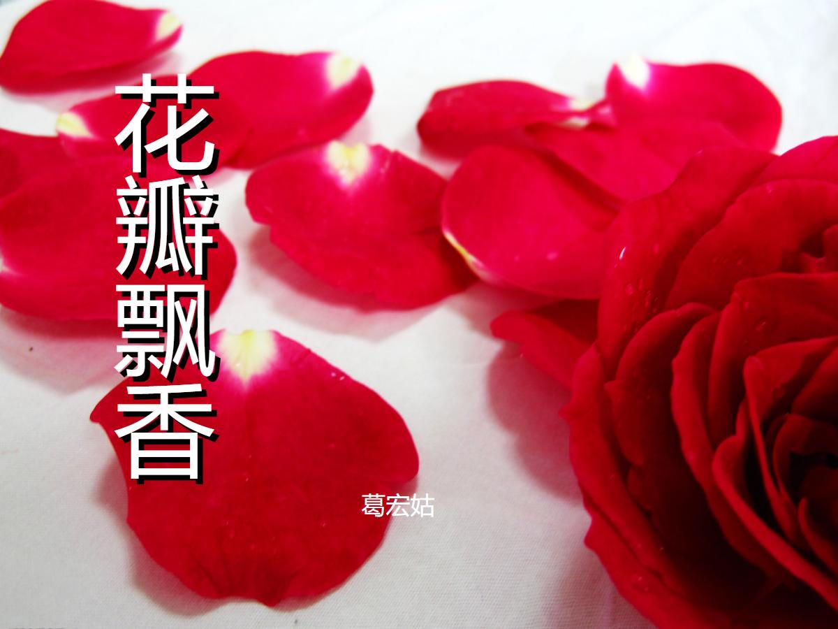 《花瓣飘香》PPT课件