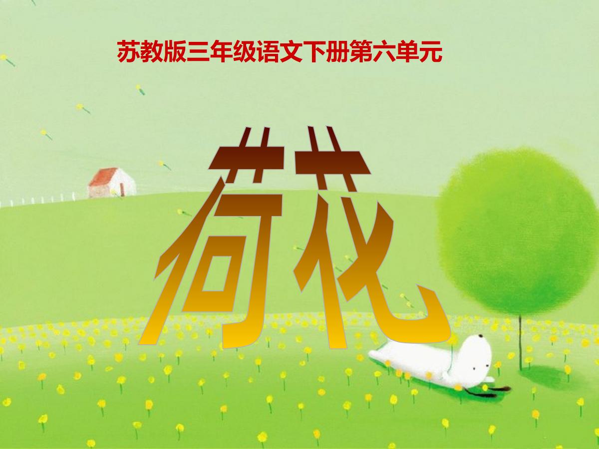 《荷花》PPT课件6