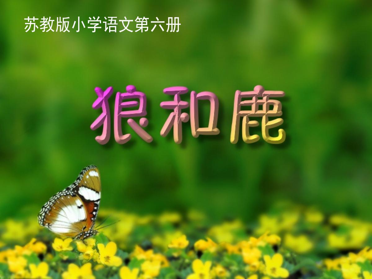 《狼和鹿》PPT课件2