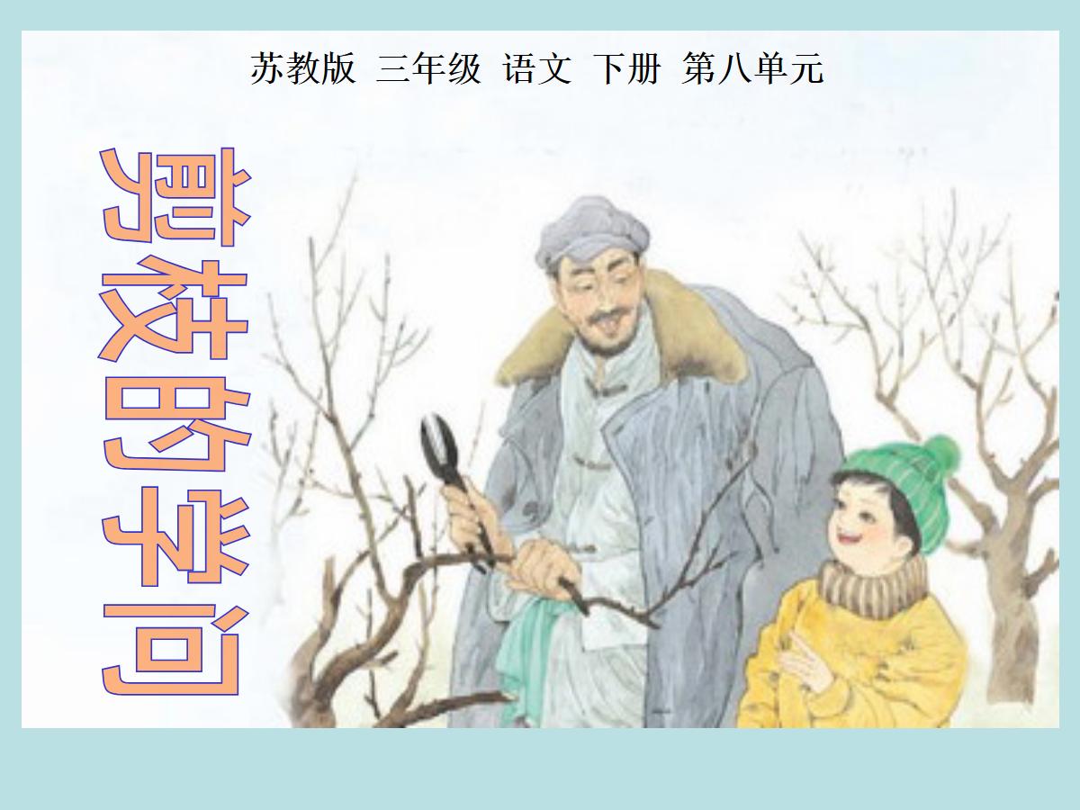 《剪枝的学问》PPT课件