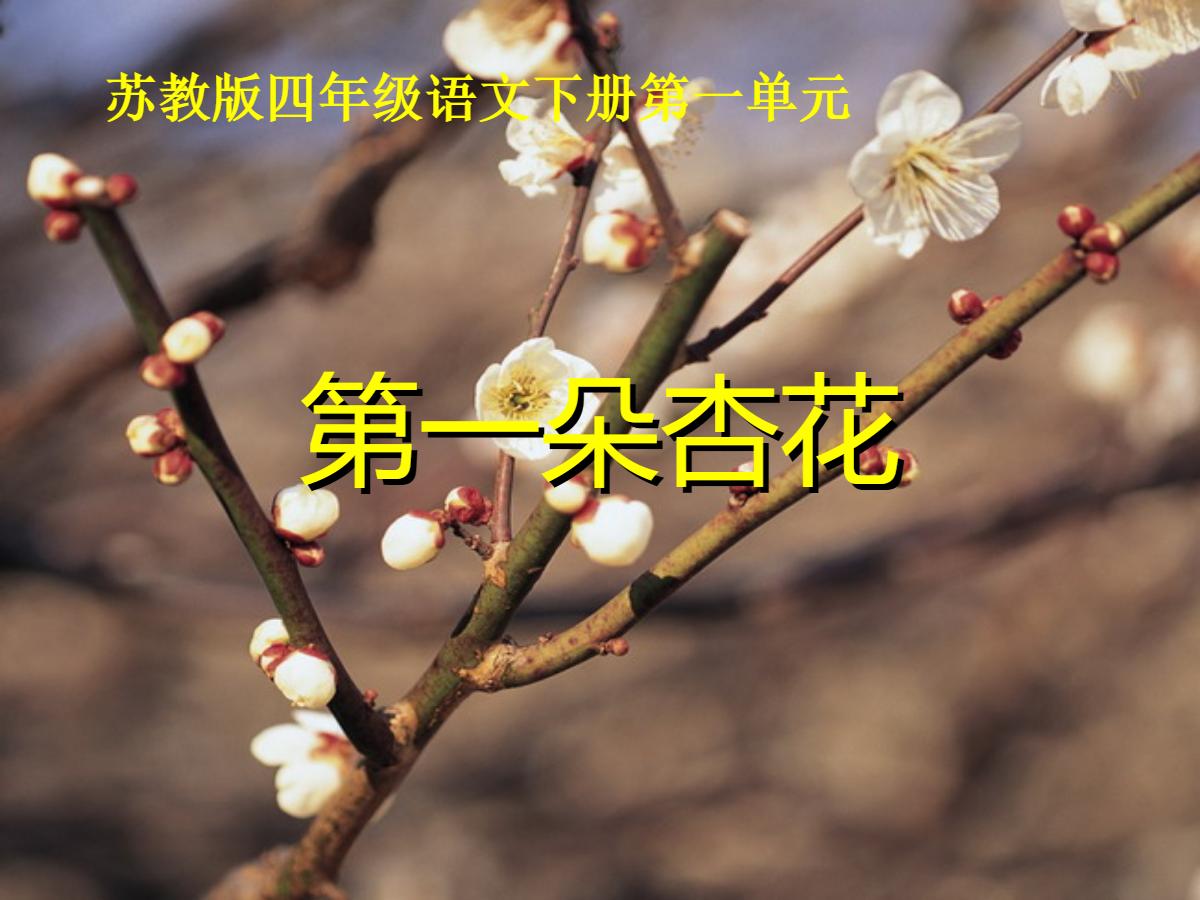 《第一朵杏花》PPT课件