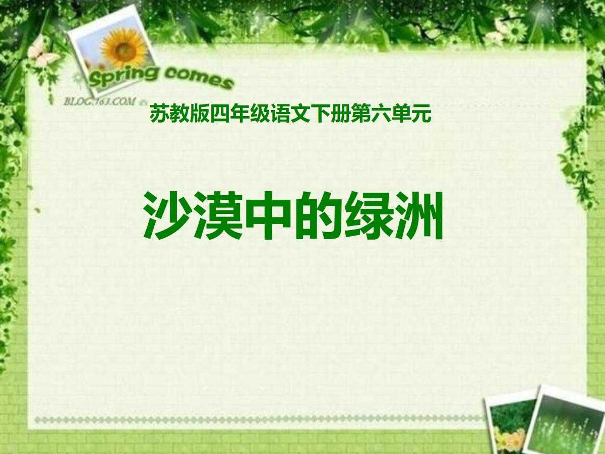 《沙漠中的绿洲》PPT课件