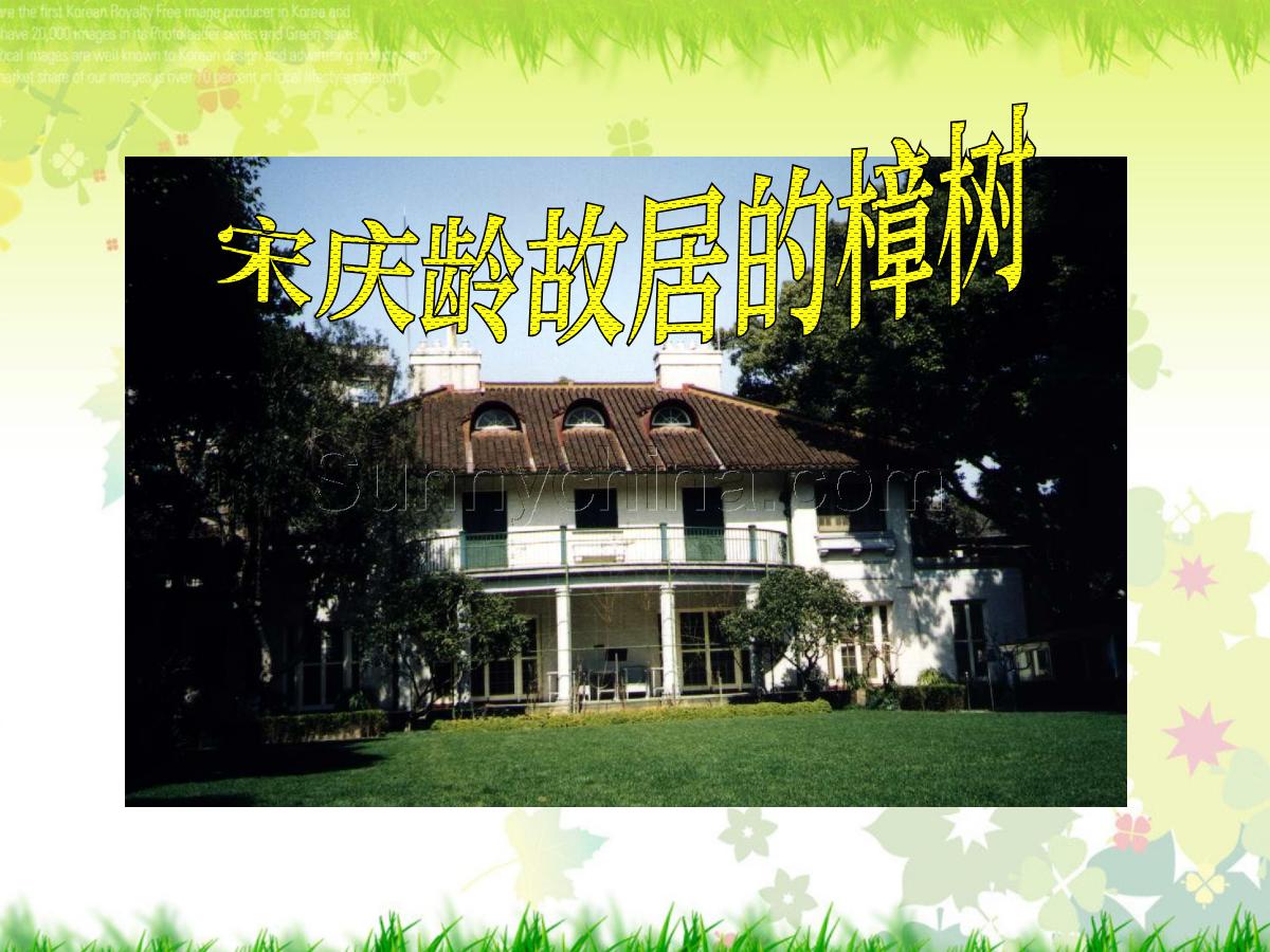 《宋庆龄故居的樟树》PPT课件
