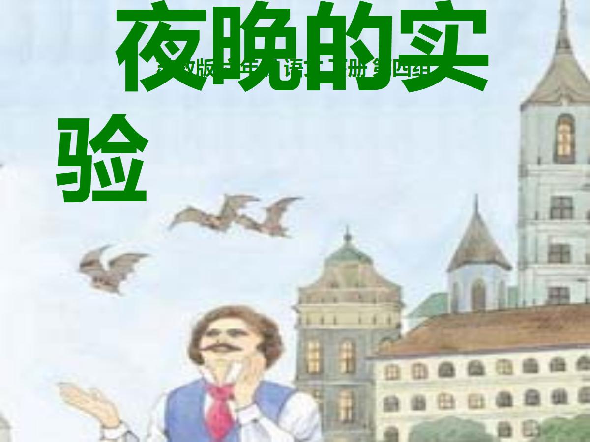 《夜晚的实验》PPT课件2