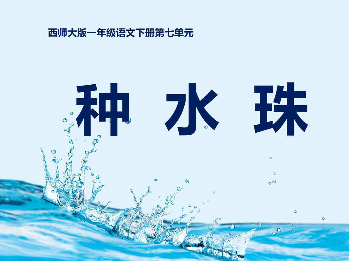 《种水珠》PPT课件
