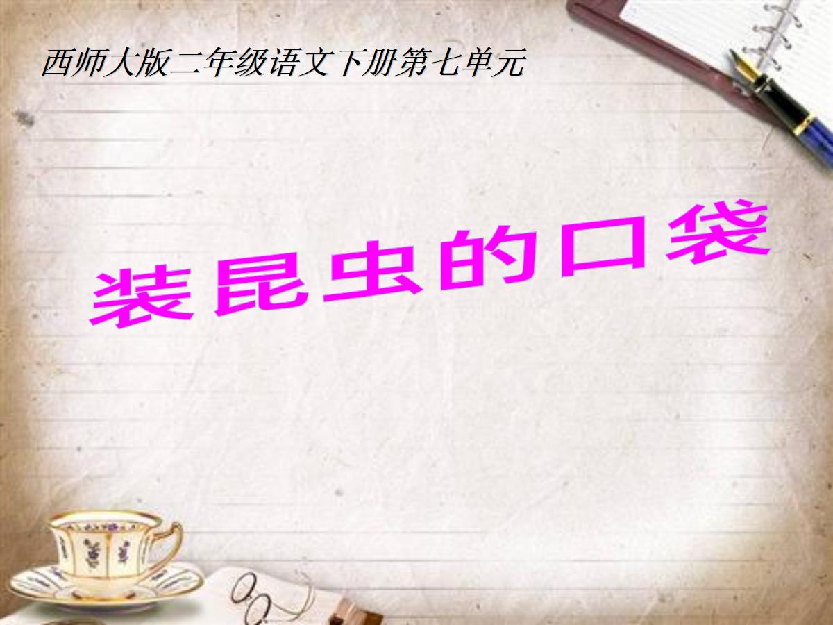 《装昆虫的口袋》PPT课件