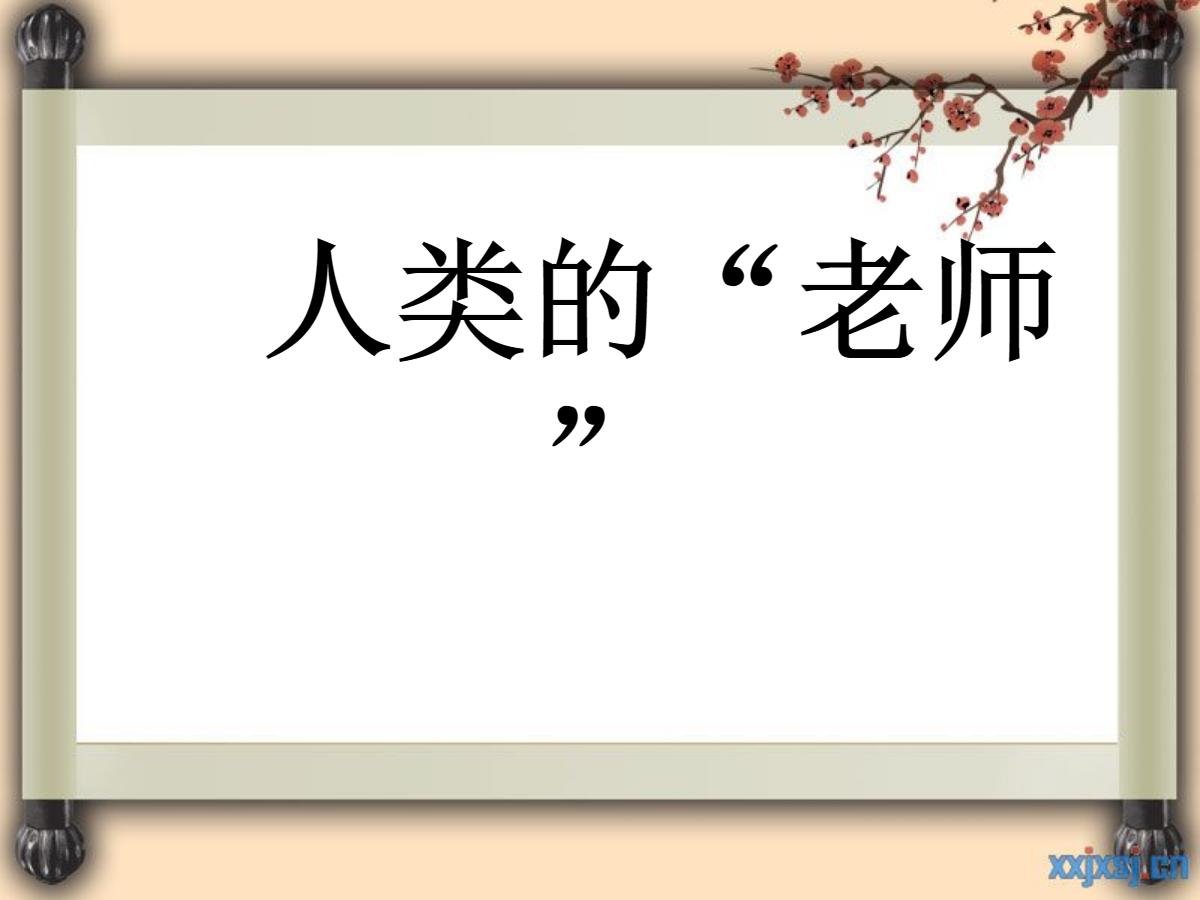 《人类的老师》PPT课件5