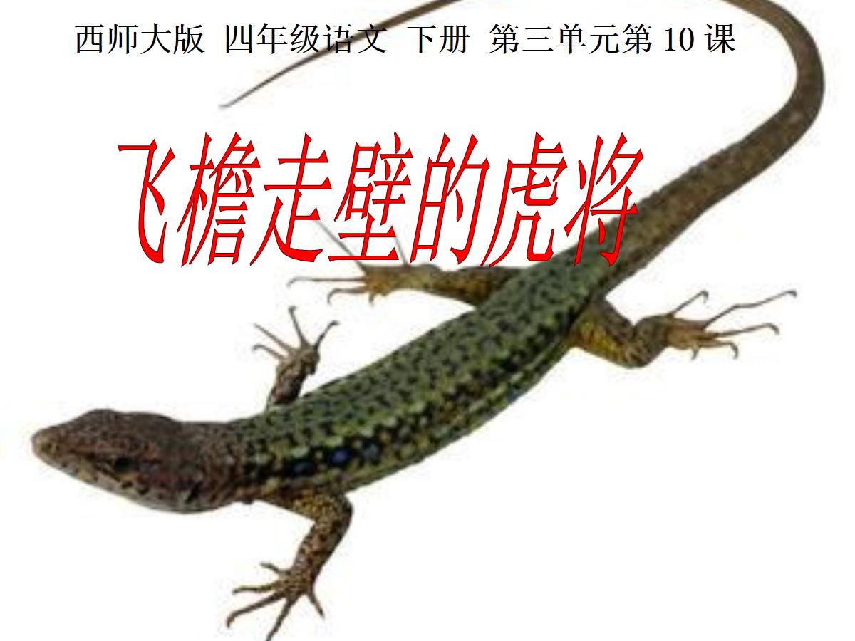 《飞檐走壁的虎将》PPT课件3