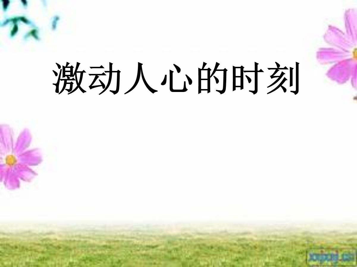 《激动人心的时刻》PPT课件4