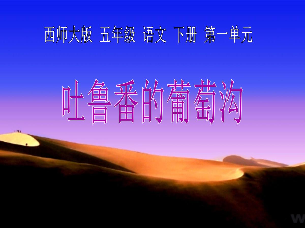 《吐鲁番的葡萄沟》PPT课件