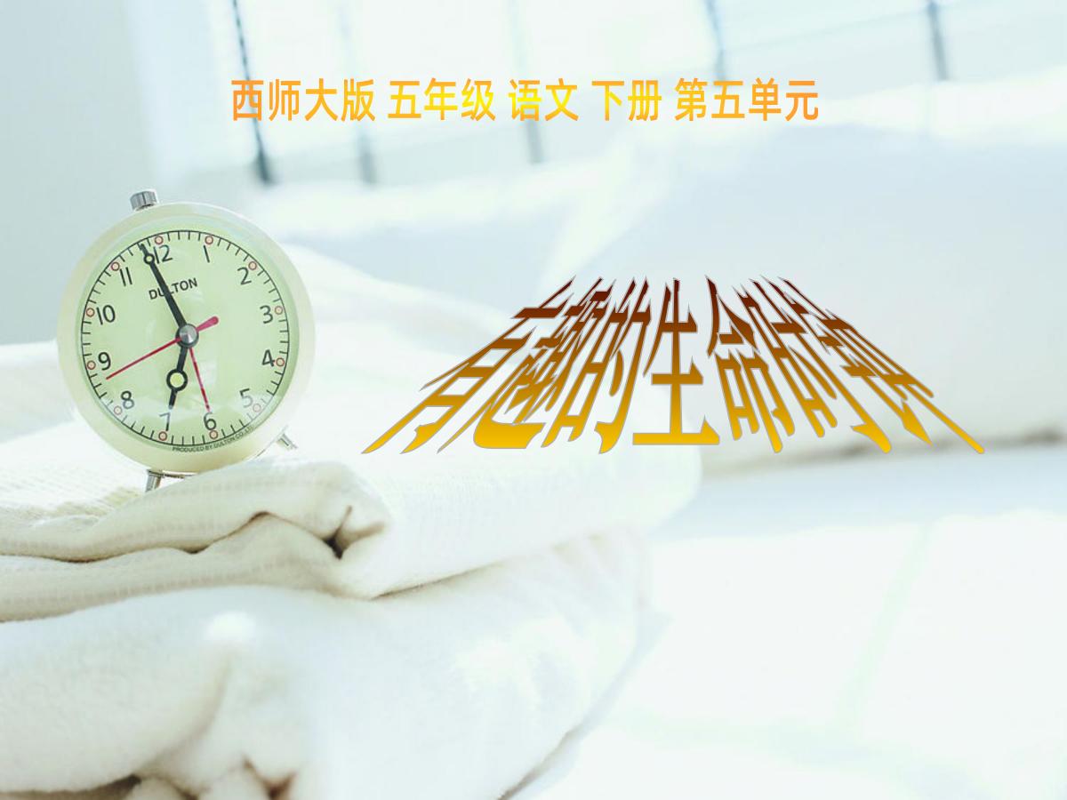 《有趣的生命时钟》PPT课件