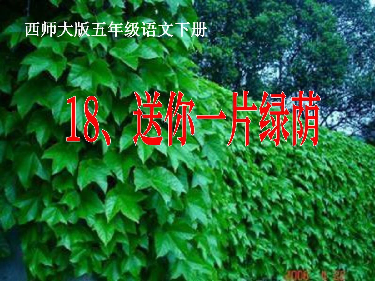 《送你一片绿荫》PPT课件4