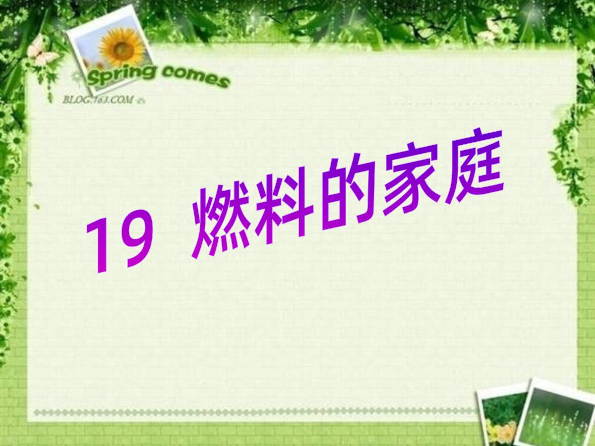《燃料的家庭》PPT课件2