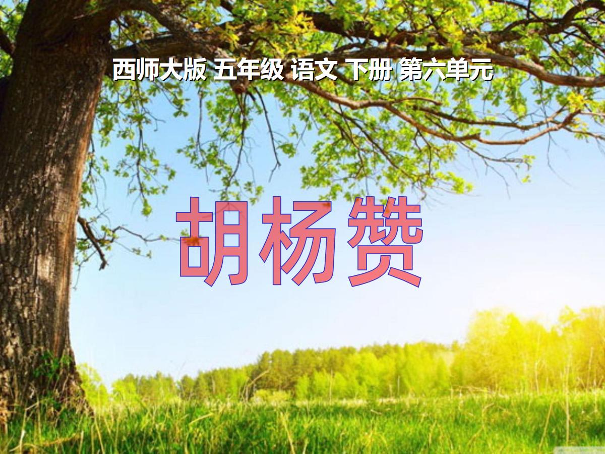 《胡杨赞》PPT课件
