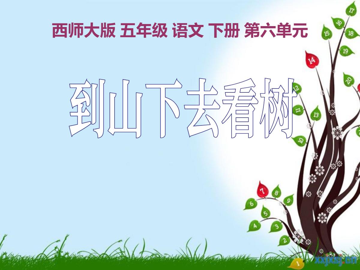 《到山下去看树》PPT课件3