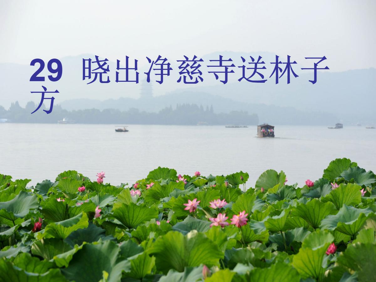 《晓出净慈寺送林子方》PPT课件2