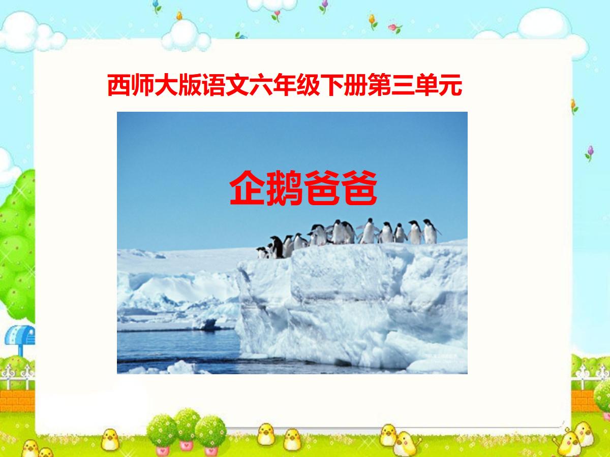 《企鹅爸爸》PPT课件
