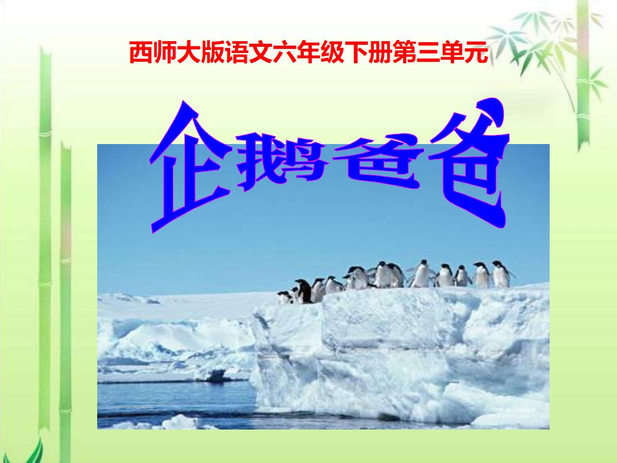 《企鹅爸爸》PPT课件2