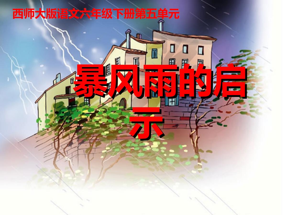 《暴风雨的启示》PPT课件