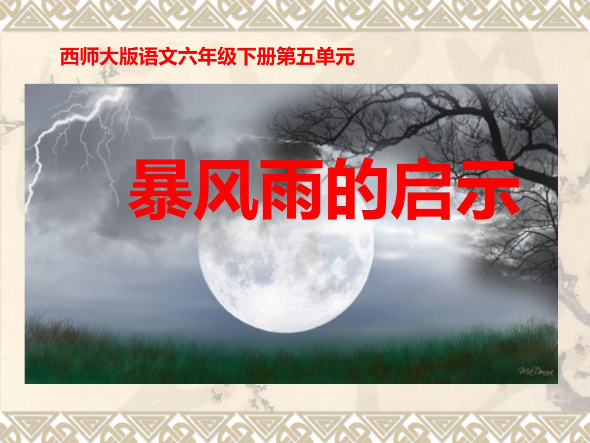 《暴风雨的启示》PPT课件2