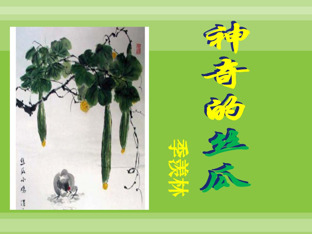 《神奇的丝瓜》PPT课件2