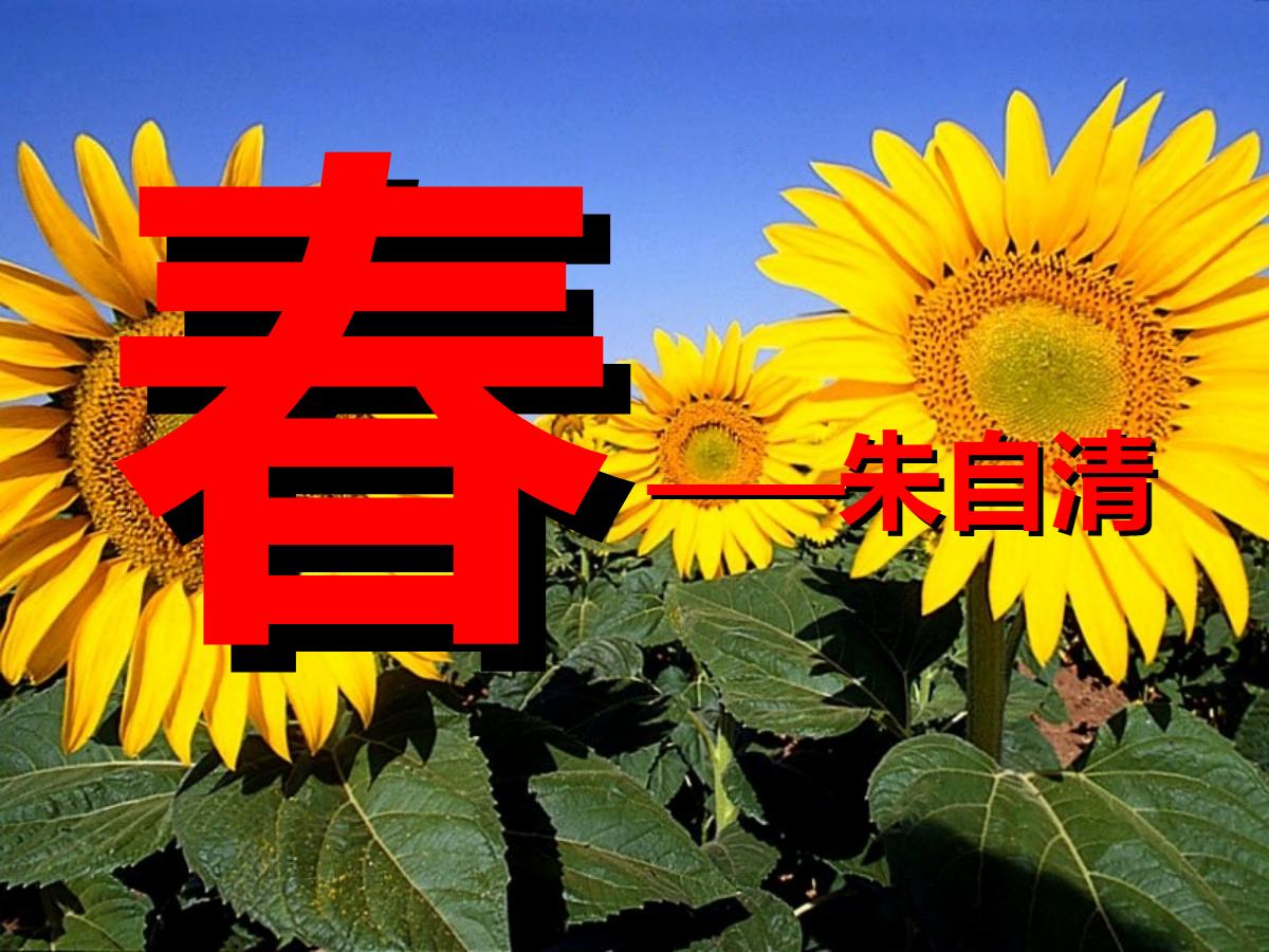 《春》PPT课件3