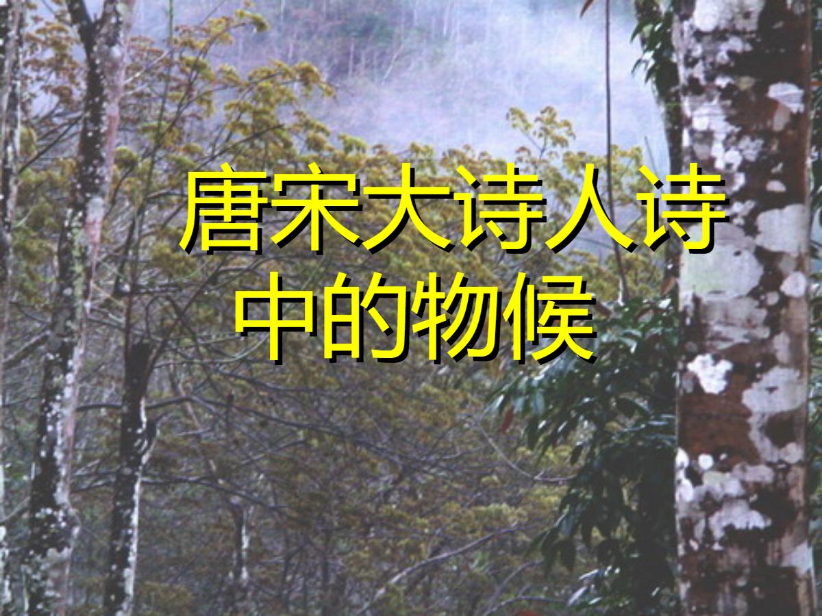 《唐宋大诗人诗中的物候》PPT课件2