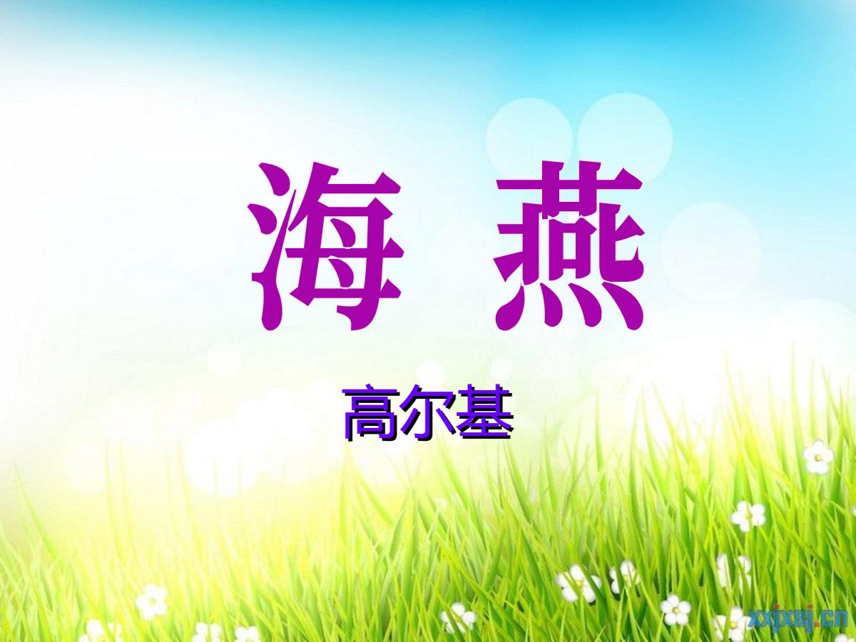 《海燕》PPT课件7