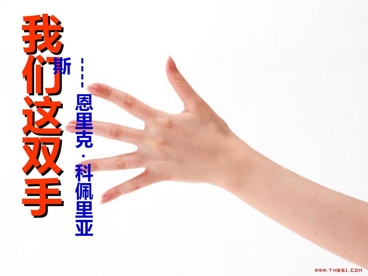 《我们这双手》PPT课件