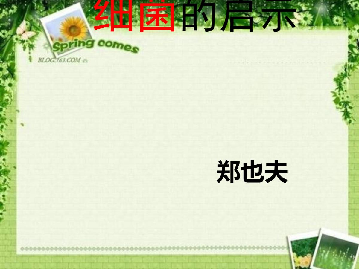 《细菌的启示》PPT课件4