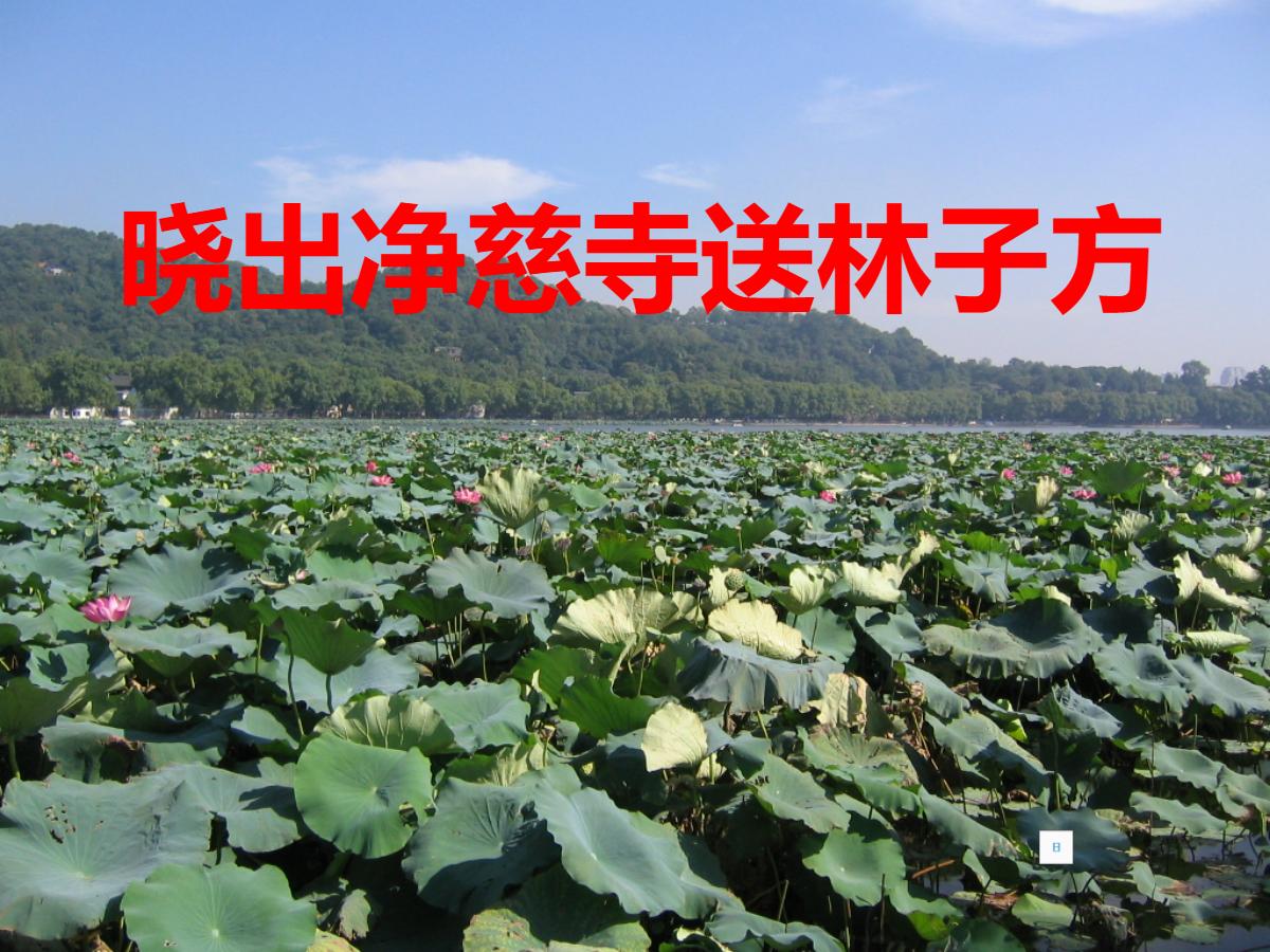 《晓出净慈寺送林子方》PPT课件4